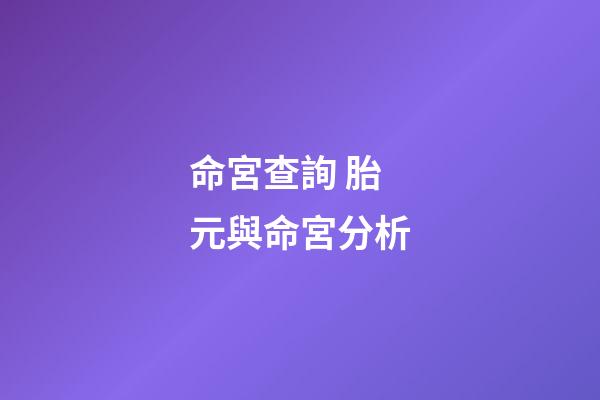 命宮查詢 胎元與命宮分析